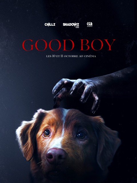 Good Boy