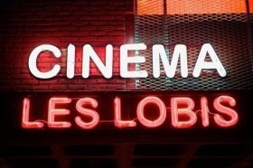Les Lobis