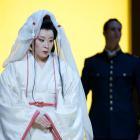 MME BUTTERFLY 3D
