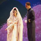 MME BUTTERFLY 3D