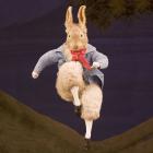 LES CONTES DE BEATRIX POTTER