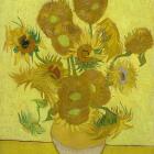 VINCENT VAN GOGH UNE NOUVELLE FAÇON DE VOIR